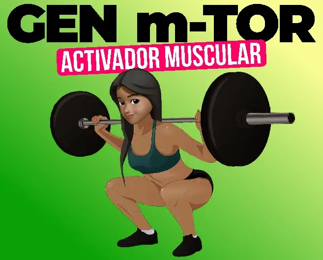 mTOR y su importancia en la síntesis de proteínas musculares.
