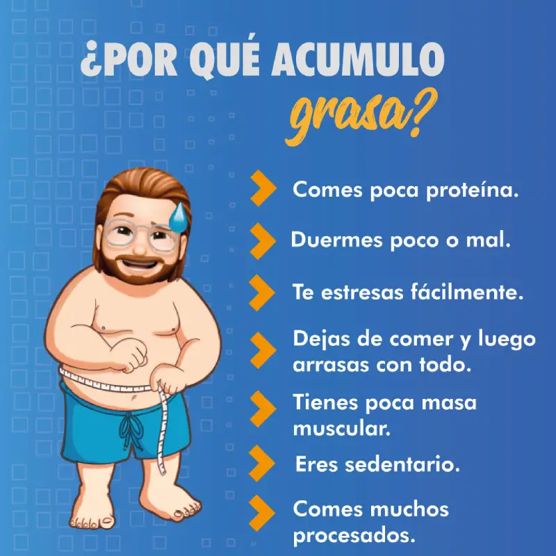 ¿por qué se acumula grasa?